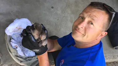 Brock et East York, Ontario