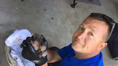 Louis et la faune urbaine