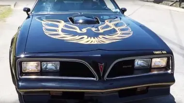Bandit Cajun