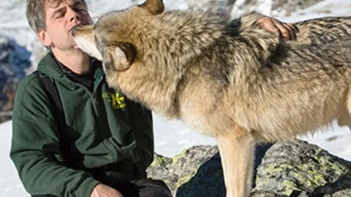 Loups solitaires en toute liberté E02