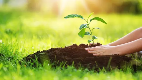 Love Your Garden Episode 8