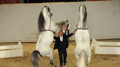 Lucien Gruss, Best of spectacles