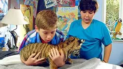 Luna, le bébé tigre