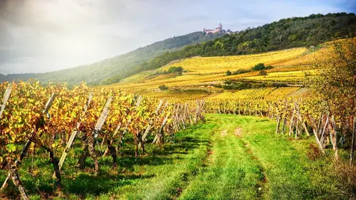 M comme Maison S01E19 Alsace (Nord)