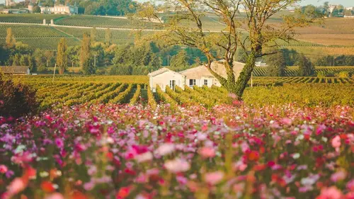 M comme Maison S01E04 Nouvelle-Aquitaine 2