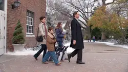 Audiences TV : M. Popper et ses pingouins