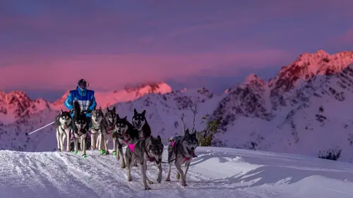 Ma première Grande Odyssée replay