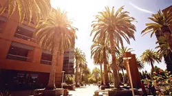 Ma première maison Grosse pomme, gros soucis