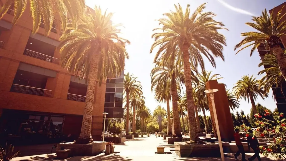 Ma première maison Grosse pomme, gros soucis