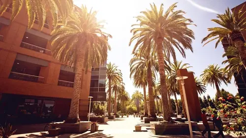 Ma première maison Grosse pomme, gros soucis