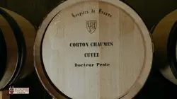 Ma première vente des vins à Beaune