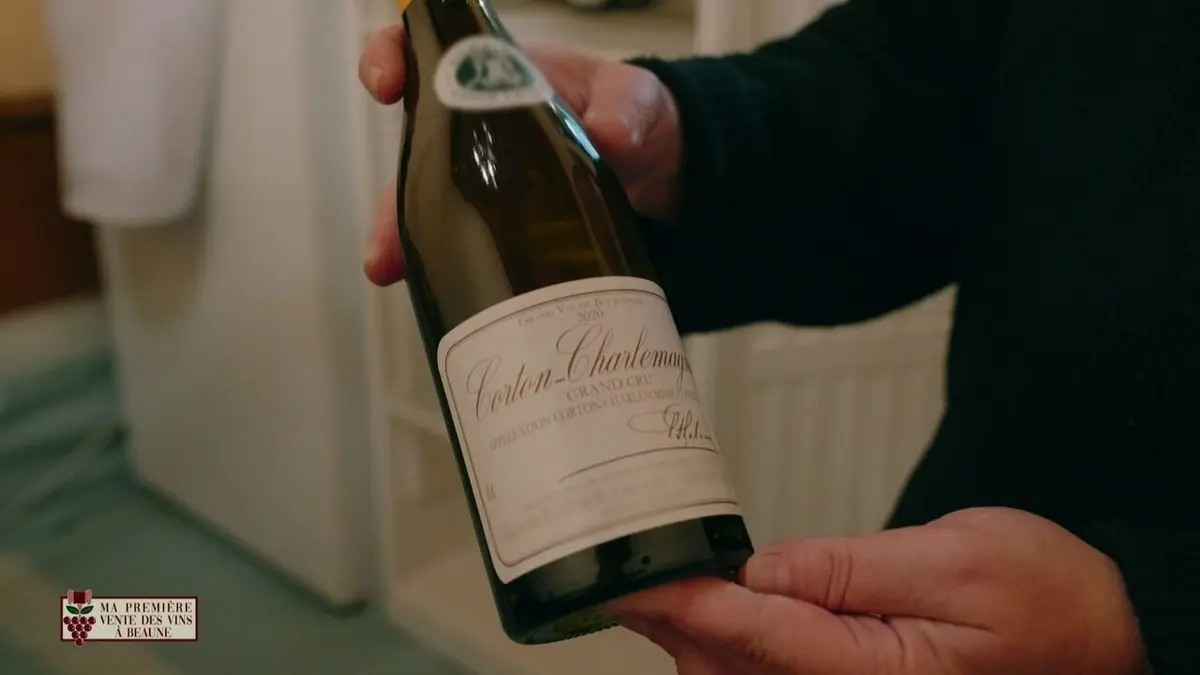 Ma première vente des vins à Beaune