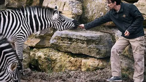 Ma vie au zoo Episode 18