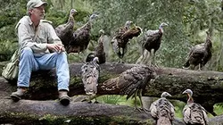 Visuel de Ma vie avec 16 dindons sauvages