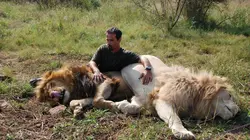 Visuel de Ma vie avec les lions