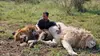 Ma vie avec les lions