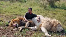 Visuel de Ma vie avec les lions