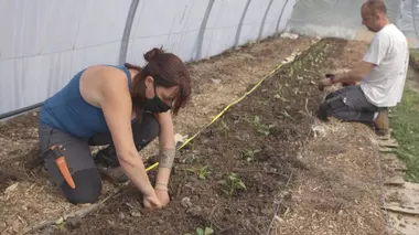 Dorothée, du salon de beauté aux champs