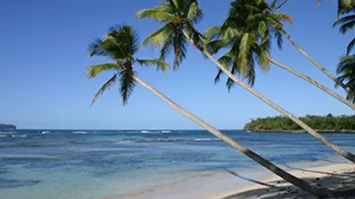 Ma vie dans les Caraïbes