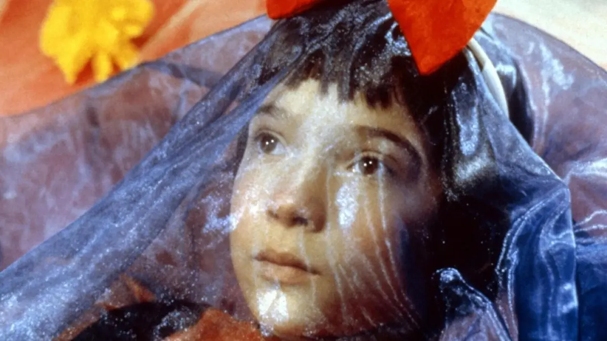 Visuel de Ma vie en rose