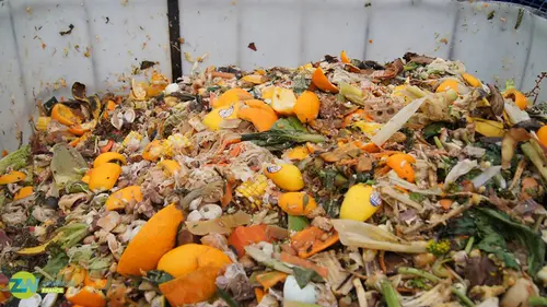 Ma vie zéro déchet