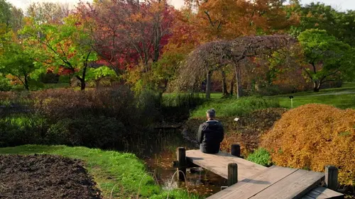 Ma ville aux rayons x