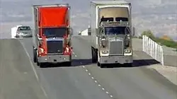 Visuel de Macadam Cowboy