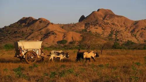 Mada trek, la grande aventure