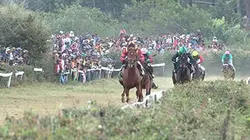 Visuel de Madagascar