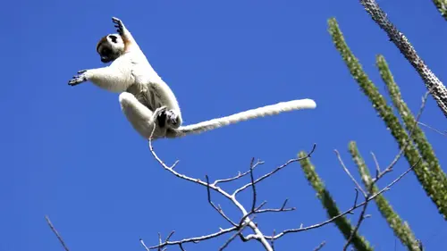 Madagascar entre terre et mer E03 Land of Heat and Dust