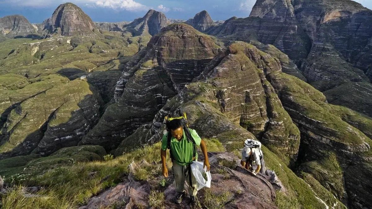 Madagascar, au coeur du massif Makay
