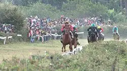 Visuel de Madagascar, jour de courses sur l'île rouge