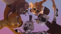 Madagascar : la savane en délire S03E06 Odee l'Okapi