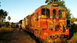 Madagascar, le petit train des Hautes Terres