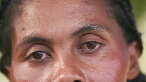 Casting Madagascar - les bons génies de la forêt