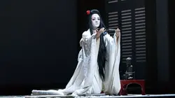 Madame Butterfly