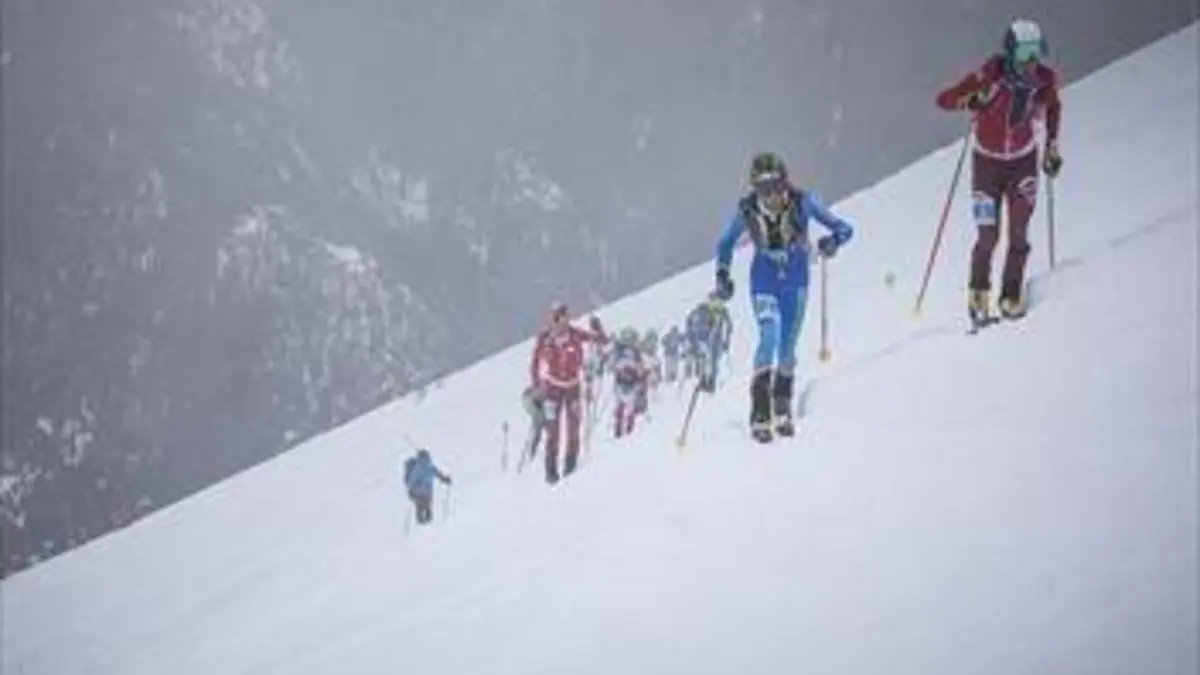 Mag Ski alpin Camapedrosa