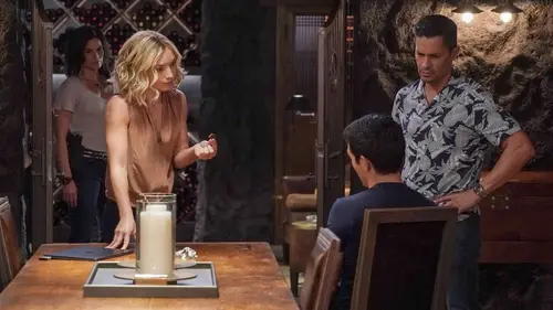 Magnum S02E12 Décisions de crise en streaming