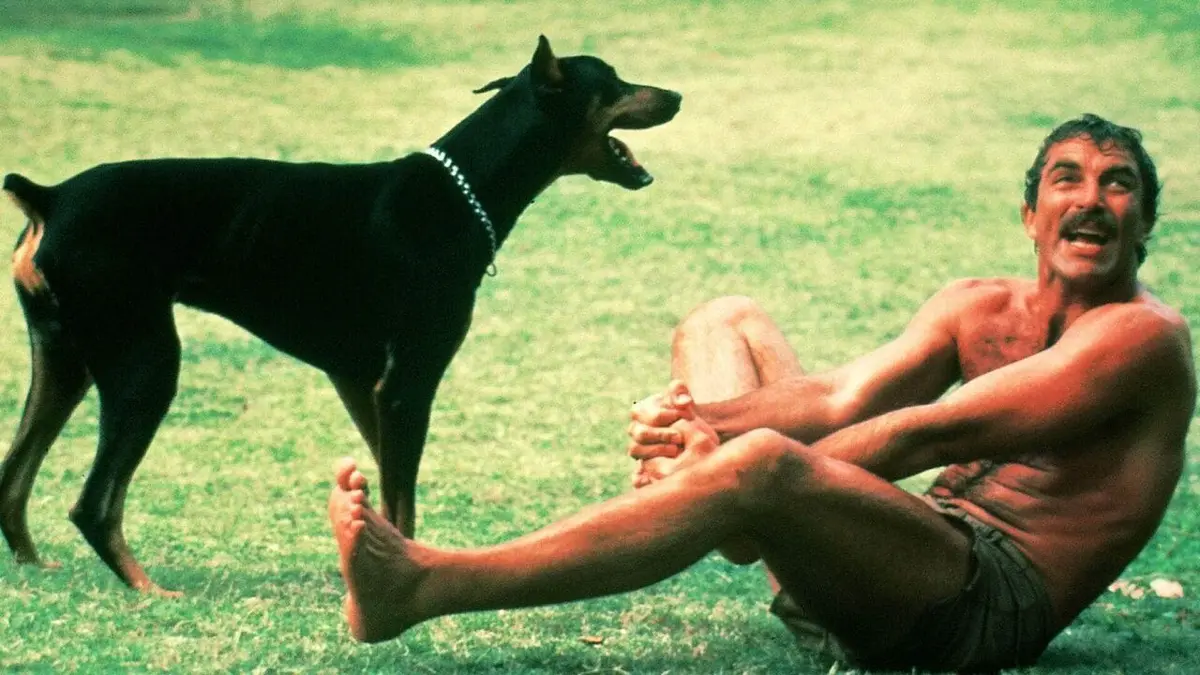 Visuel de Magnum S04E21 Le témoin