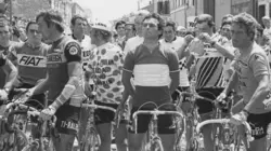 Maillot jaune, la quête des braves