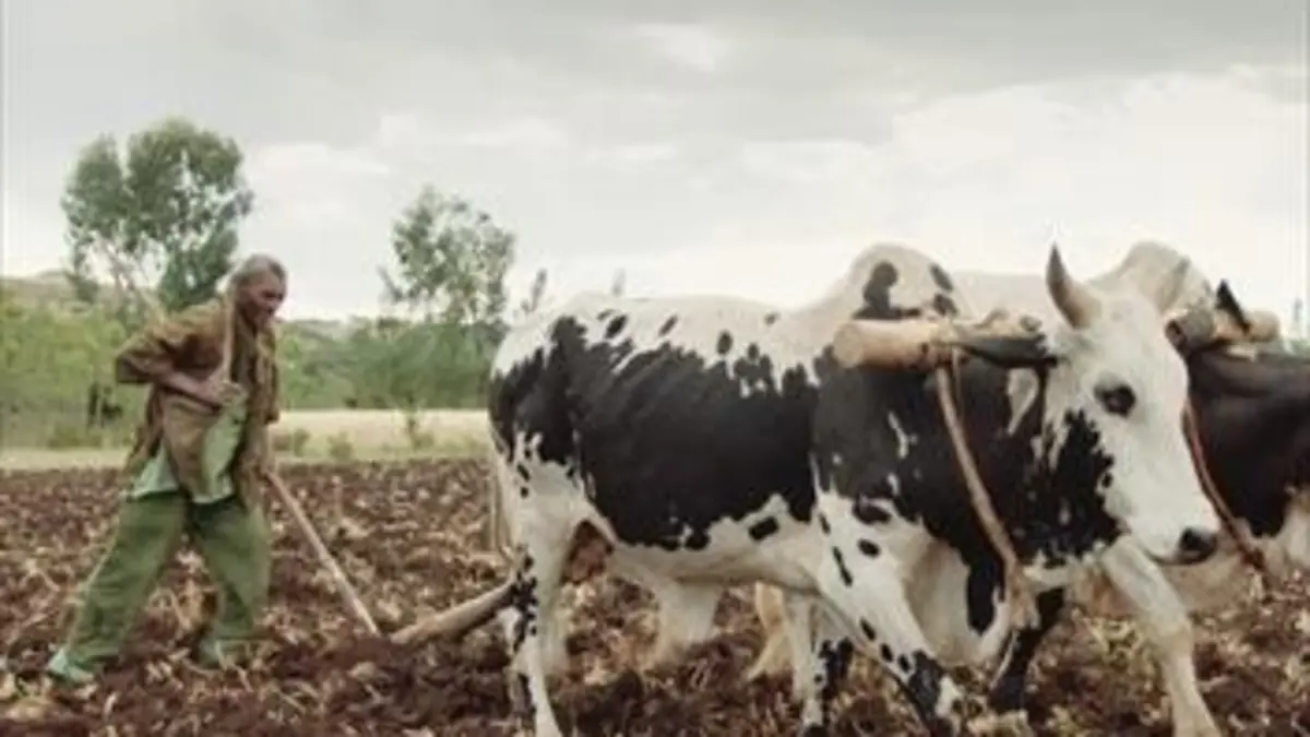 Main basse sur les terres agricoles