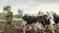 Visuel de Main basse sur les terres agricoles
