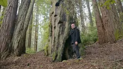 Maisons de rêve en Californie