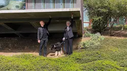 Maisons de rêve en Californie