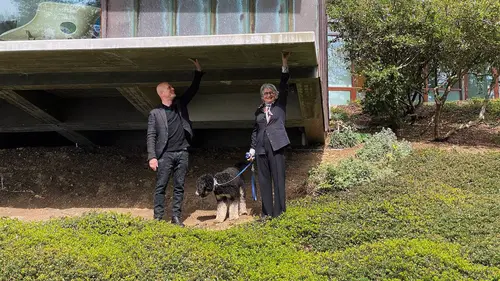 Maisons de rêve en Californie