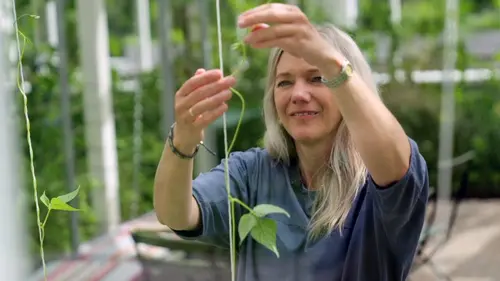 Maja Lunde : L'écologie est un roman