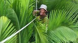 Visuel de Makay, les aventuriers du monde perdu