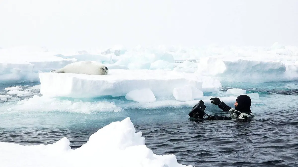 Making of Royaumes de glace : l'aventure !