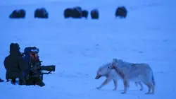 Making of - Une planète parfaite