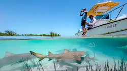 Making of - Une planète parfaite